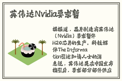 千层浪视频app
